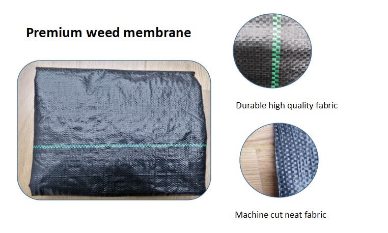 Weed Barrier